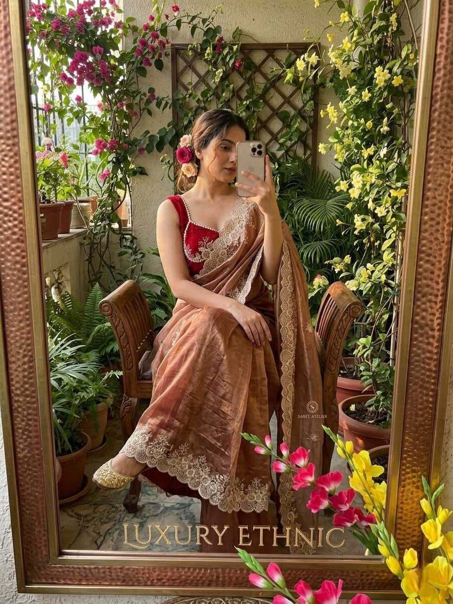 YNF Wholesale Tissue Silk Pattu Sarees  | Surat Manufacturer