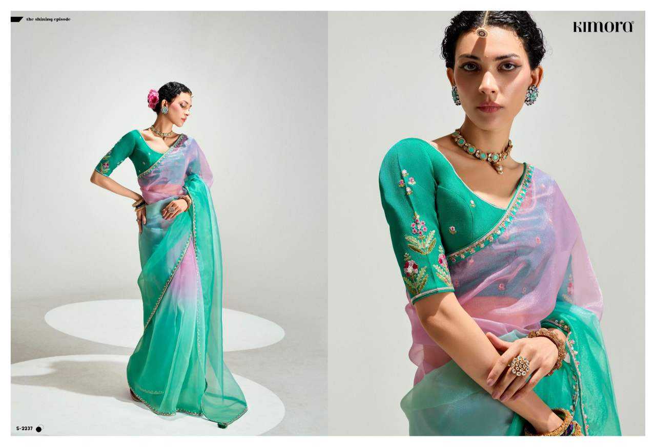 YNF Wholesale Organza Designer Sarees  | Surat Manufacturer