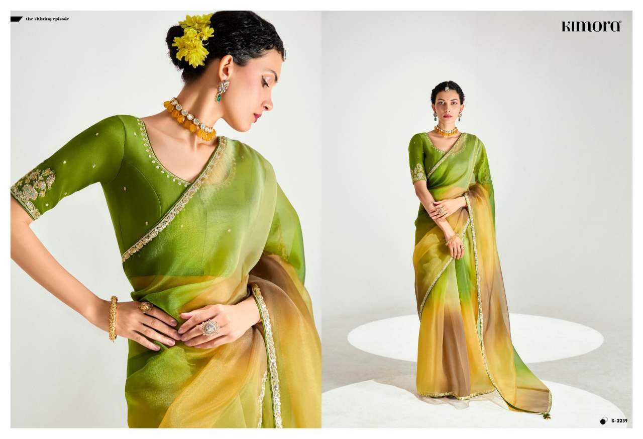 YNF Wholesale Organza Designer Sarees  | Surat Manufacturer