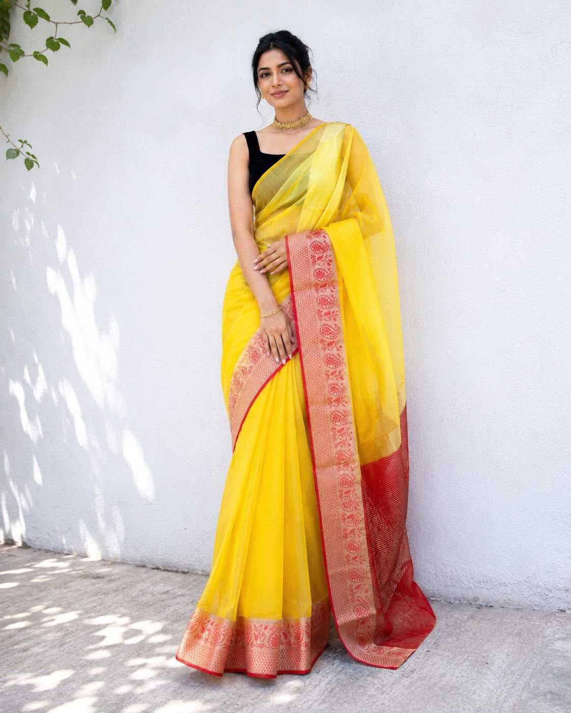 YNF Wholesale Organza Designer Sarees  | Surat Manufacturer