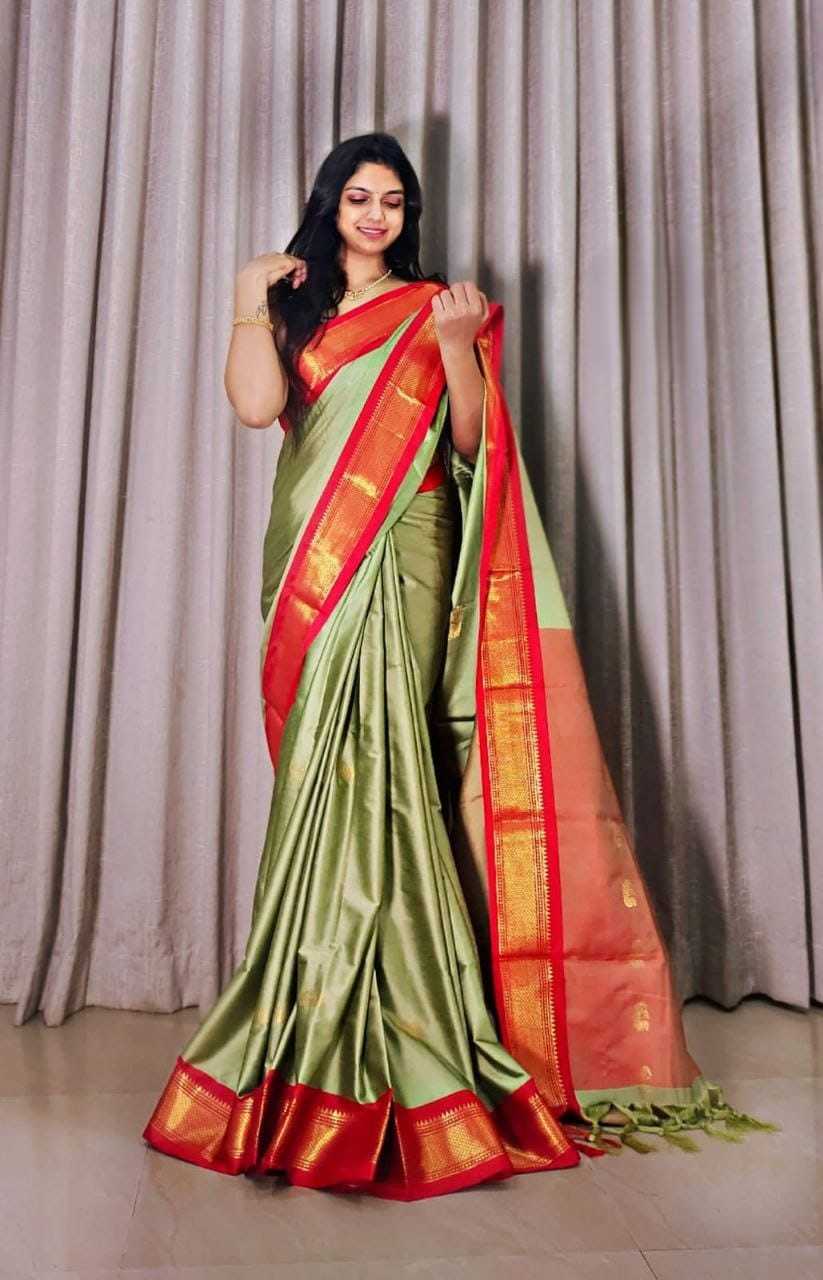 YNF Wholesale Cotton Jacquard Saree RIN211 Rani-Vol-5 | Surat Manufacturer