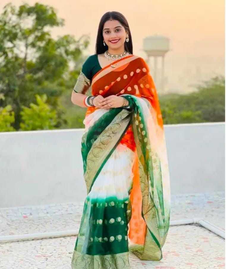 YNF Wholesale Jacquard Organza Organza Sarees KESH577 781 | Surat Manufacturer