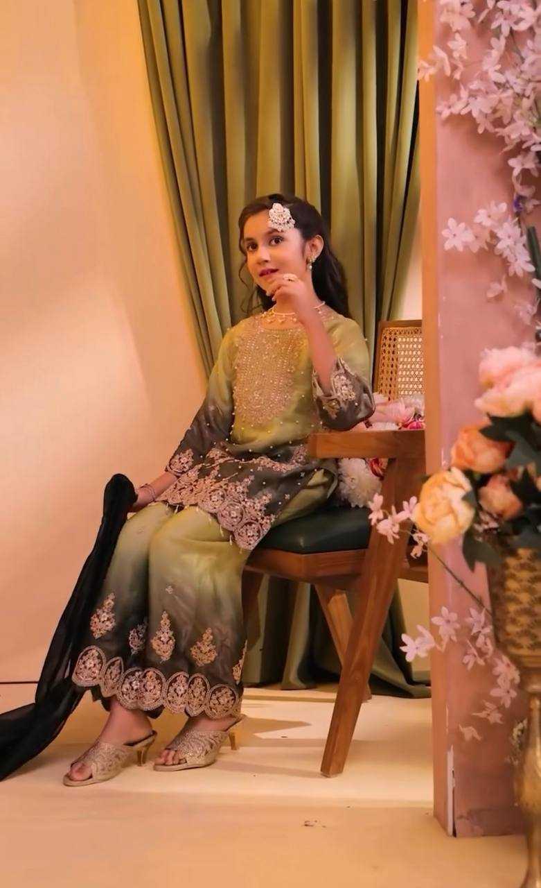 YNF Wholesale Heavy Silk Embroidered Frock  | Surat Manufacturer