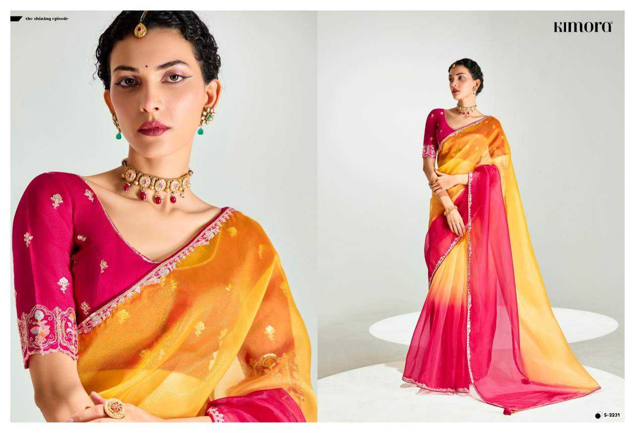 YNF Wholesale Organza Designer Sarees  | Surat Manufacturer