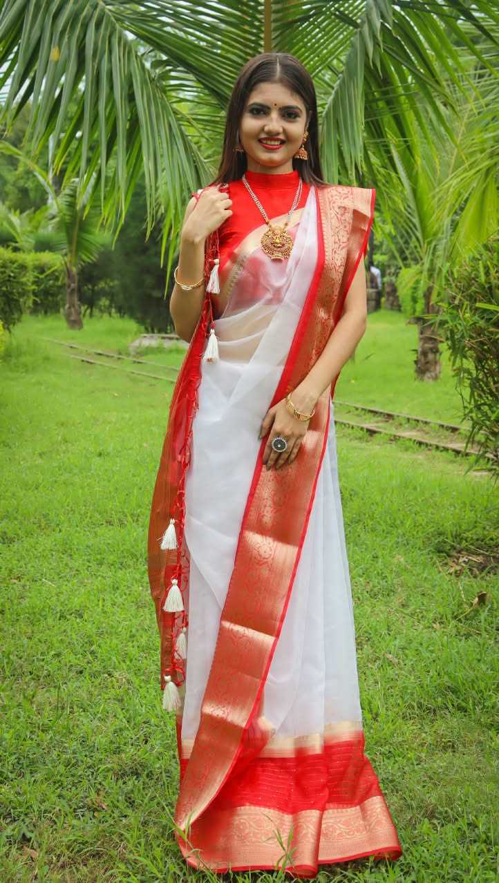 YNF Wholesale Nylon Sequin Sarees RIN225 Durga | Surat Manufacturer