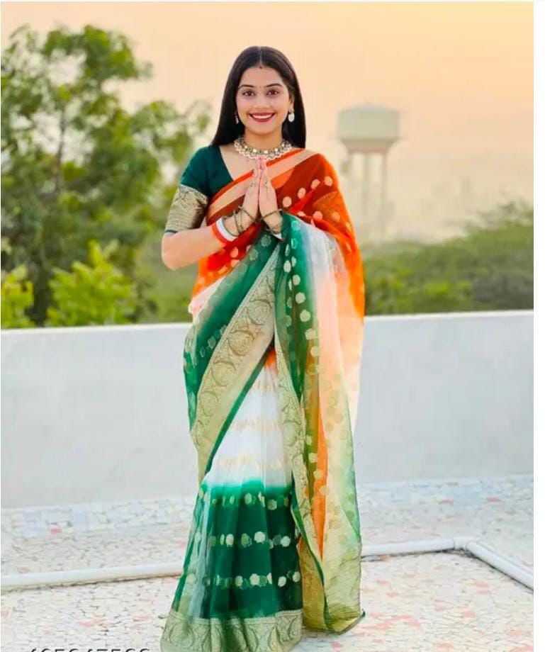 YNF Wholesale Organza Indian Sarees KESH577 781 | Surat Manufacturer