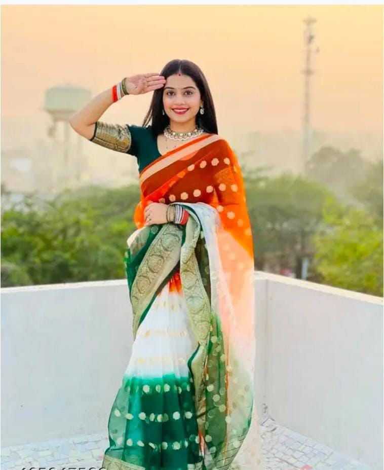 YNF Wholesale Organza Indian Sarees KESH577 781 | Surat Manufacturer