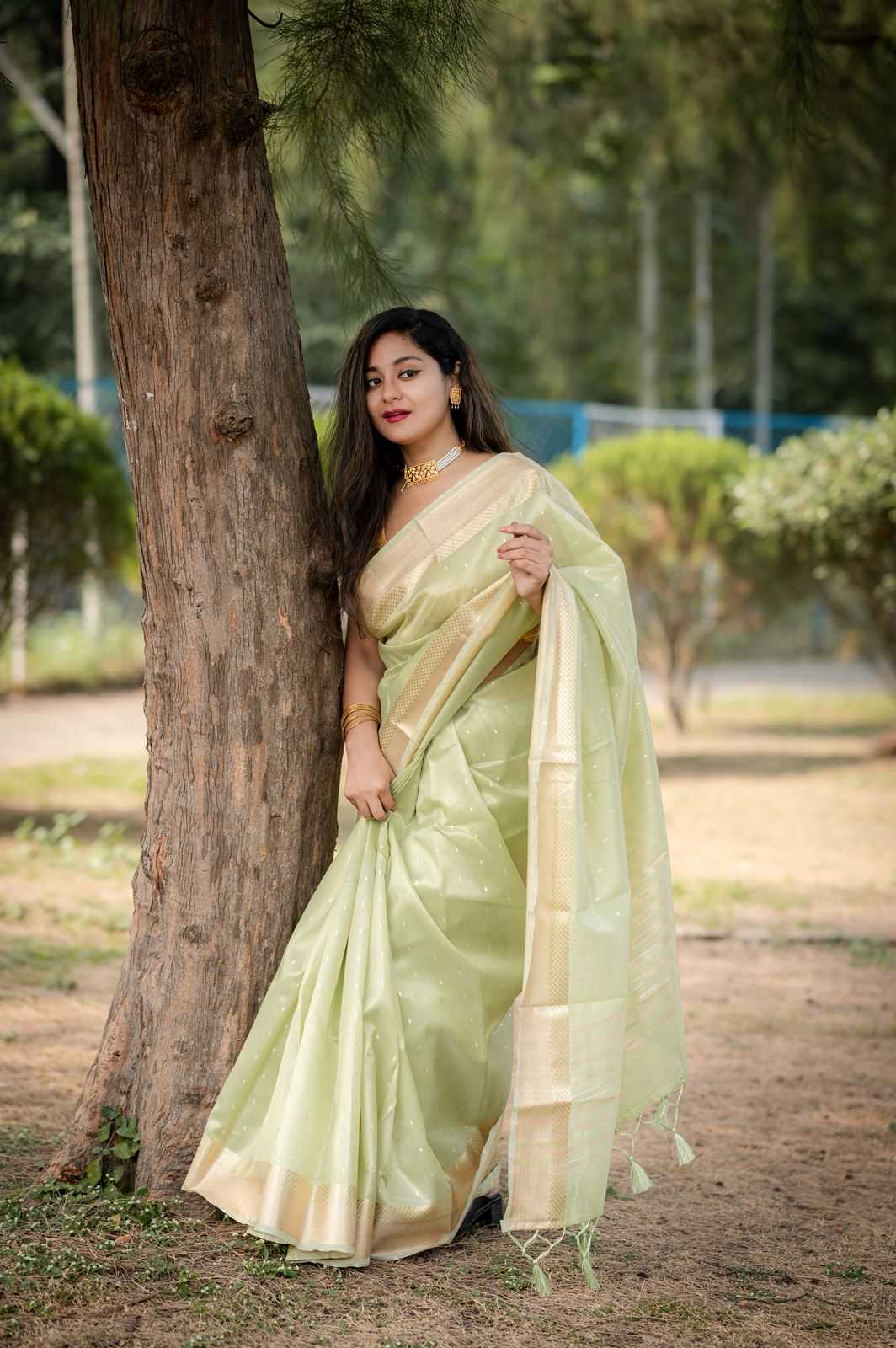 YNF Wholesale Tissue Silk Tissue Silk Saree KESH690 295 | Surat Manufacturer