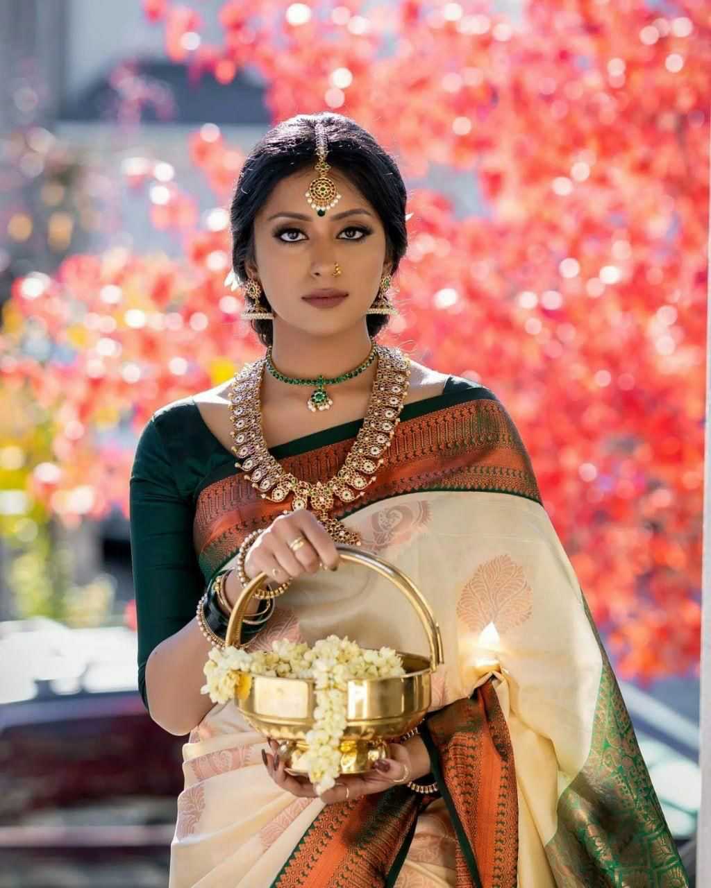 YNF Wholesale Lichi Silk South Indian Sarees KESH171 1719 | Surat Manufacturer