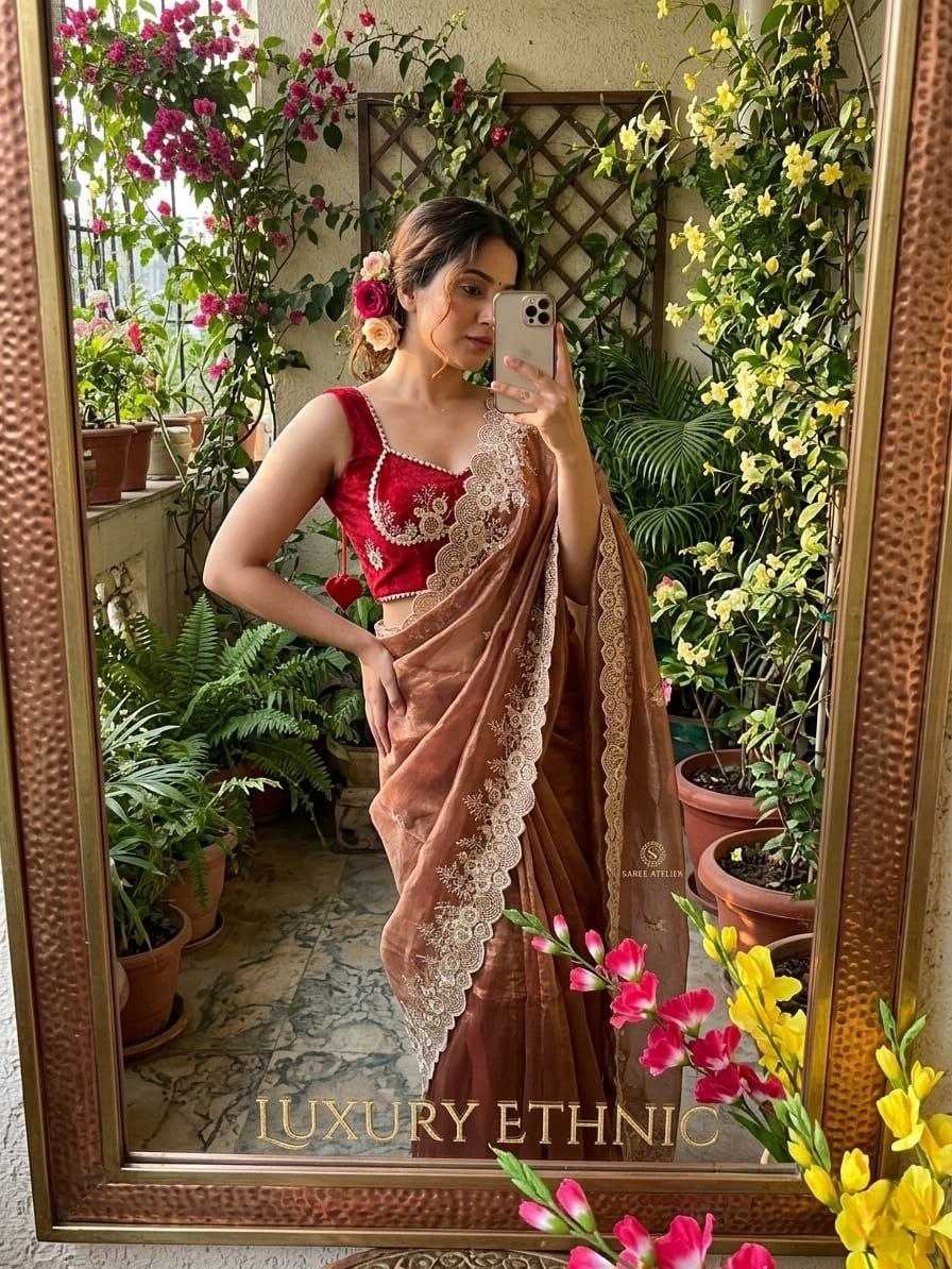 YNF Wholesale Tissue Silk Pattu Sarees  | Surat Manufacturer