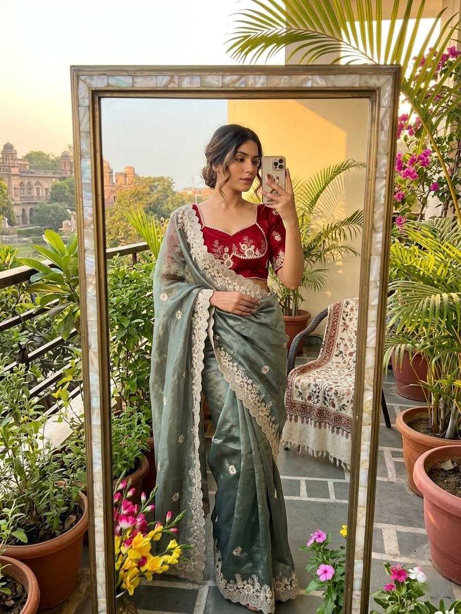 YNF Wholesale Tissue Silk Pattu Sarees  | Surat Manufacturer