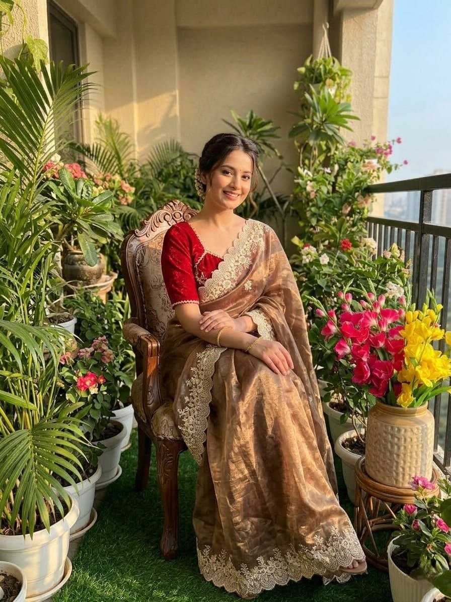 YNF Wholesale Tissue Silk Pattu Sarees  | Surat Manufacturer