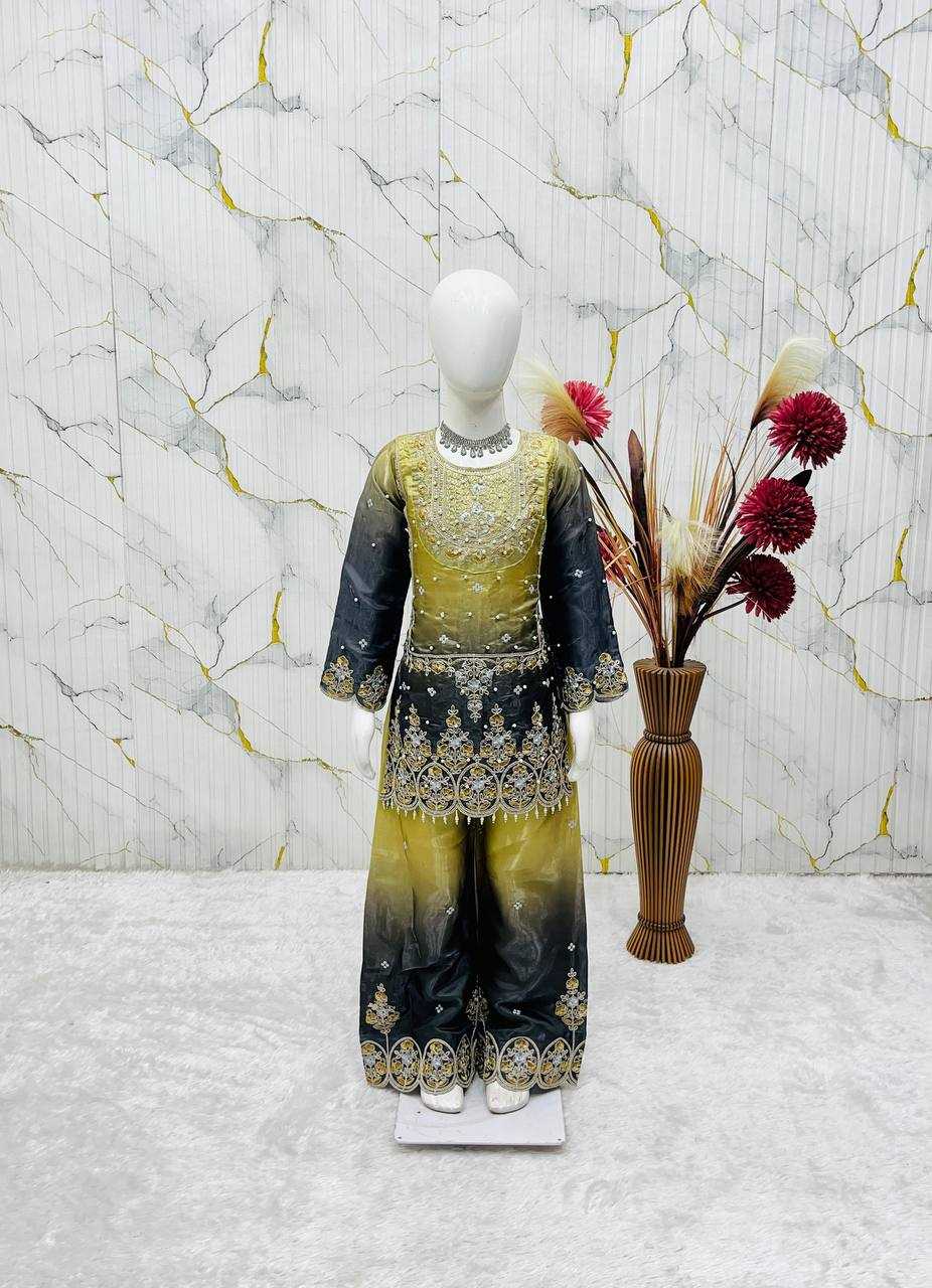 YNF Wholesale Heavy Silk Embroidered Frock  | Surat Manufacturer