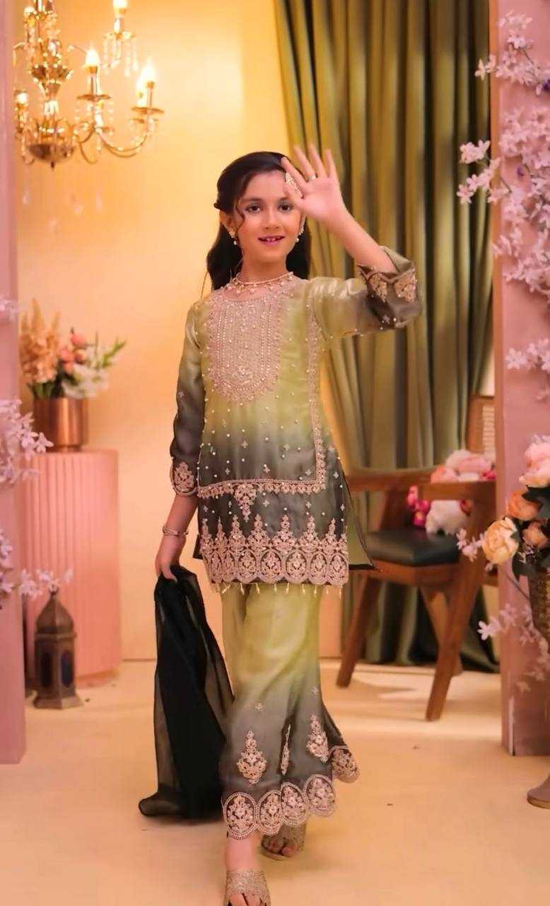 YNF Wholesale Heavy Silk Embroidered Frock  | Surat Manufacturer