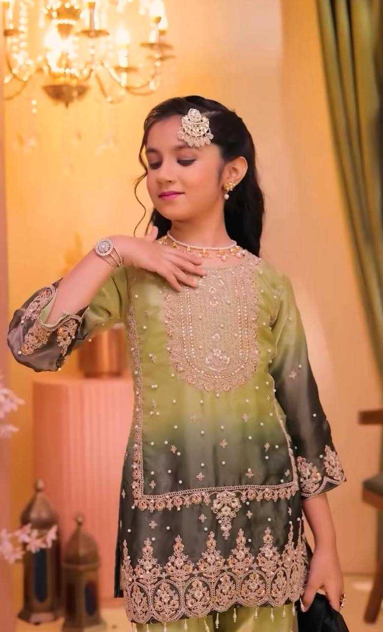 YNF Wholesale Heavy Silk Embroidered Frock  | Surat Manufacturer