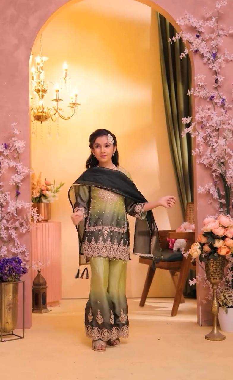 YNF Wholesale Heavy Silk Embroidered Frock  | Surat Manufacturer