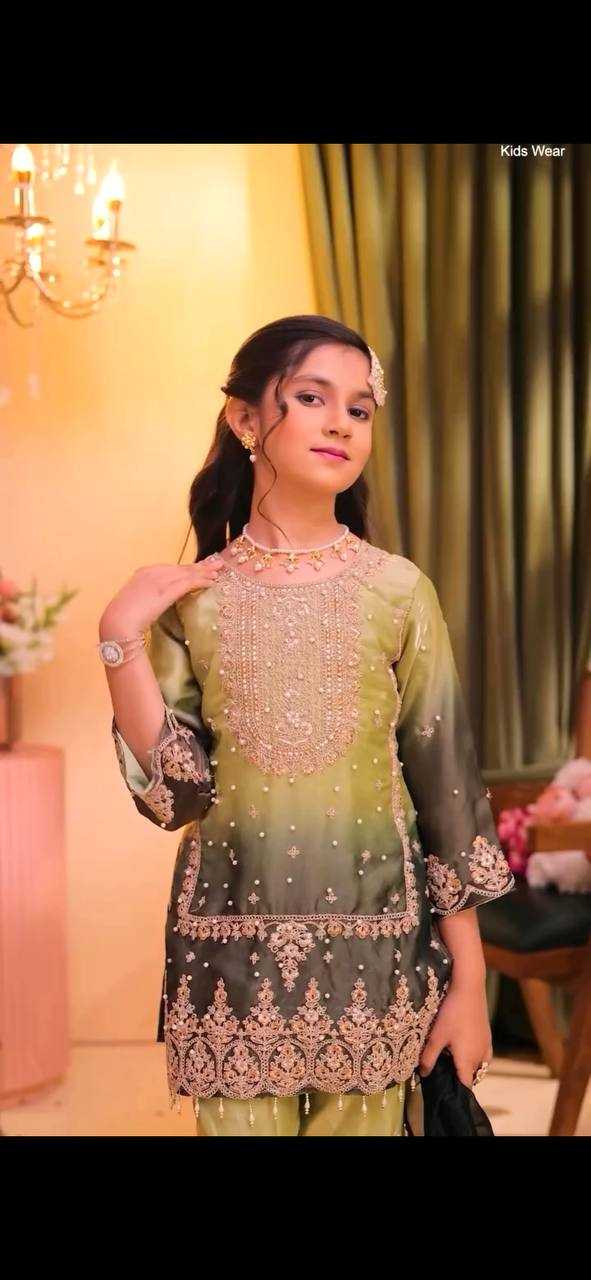 YNF Wholesale Heavy Silk Embroidered Frock  | Surat Manufacturer