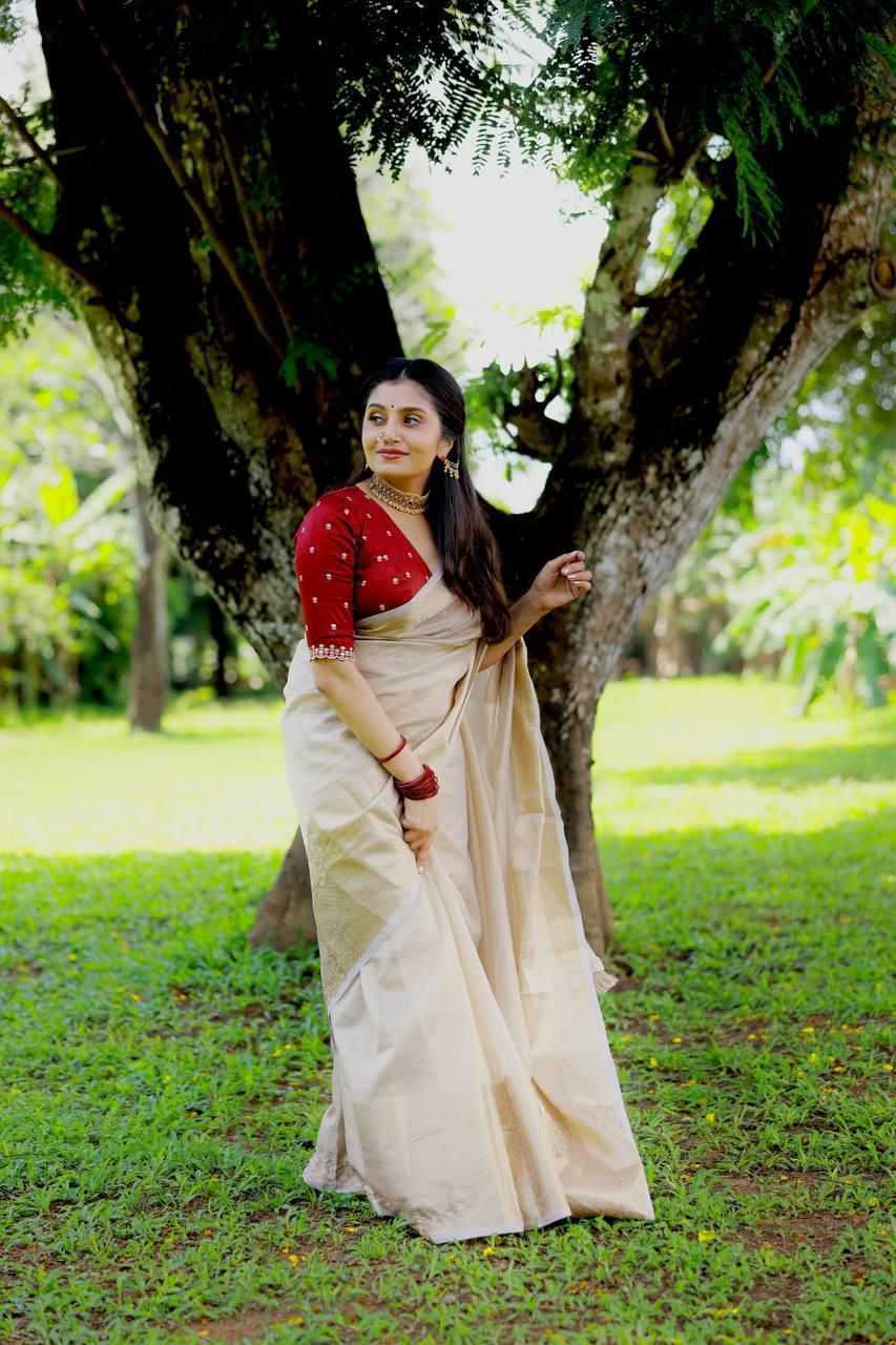 YNF Wholesale Tissue Silk Tissue Silk Saree  | Surat Manufacturer