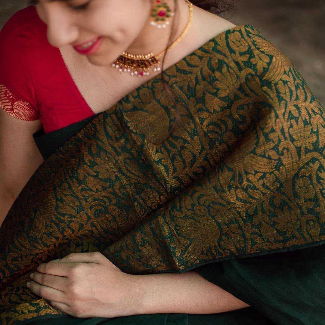 YNF Wholesale Soft Silk Designer Sarees  | Surat Manufacturer