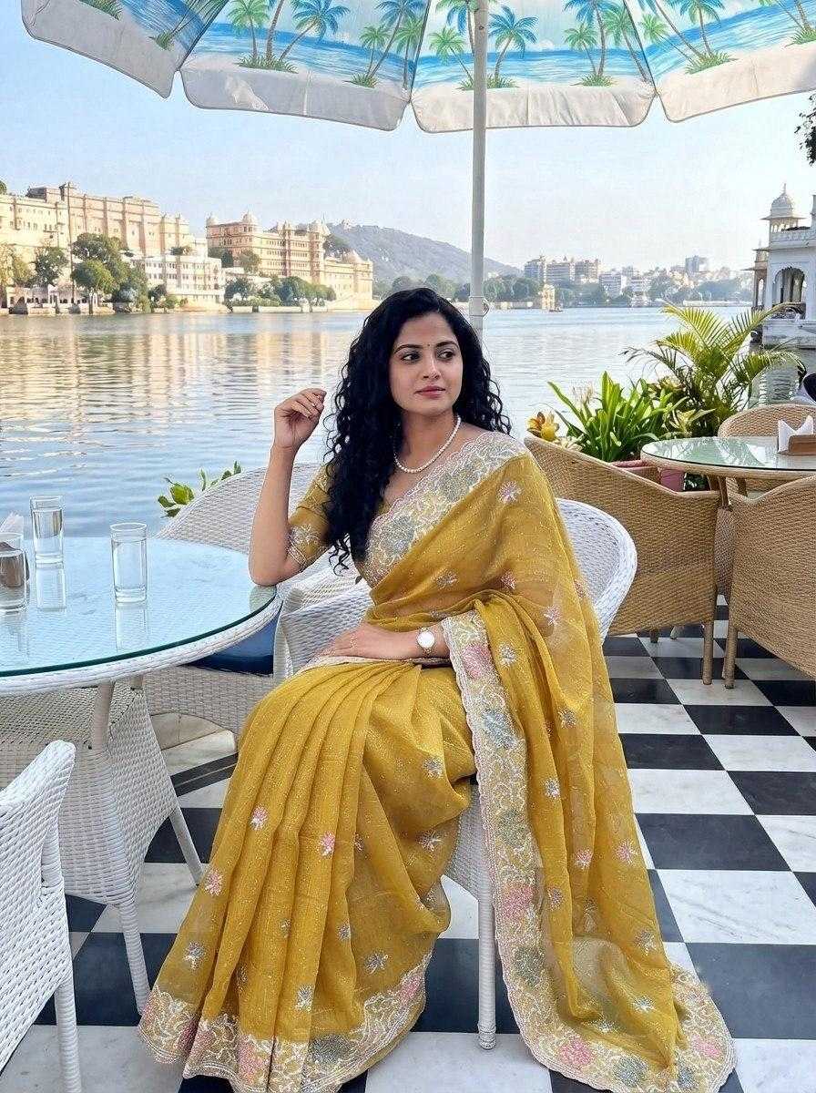 YNF Wholesale Chiffon Party Wear Silk Sarees  | Surat Manufacturer