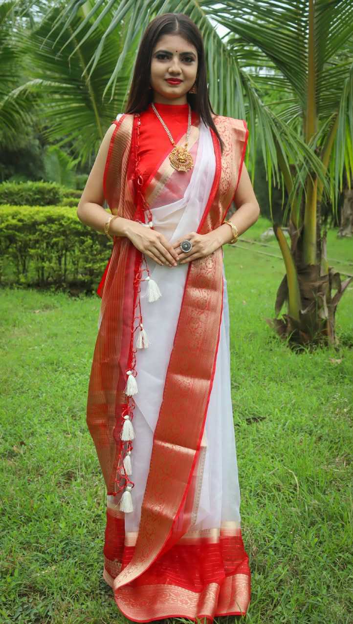 YNF Wholesale Nylon Sequin Sarees RIN225 Durga | Surat Manufacturer