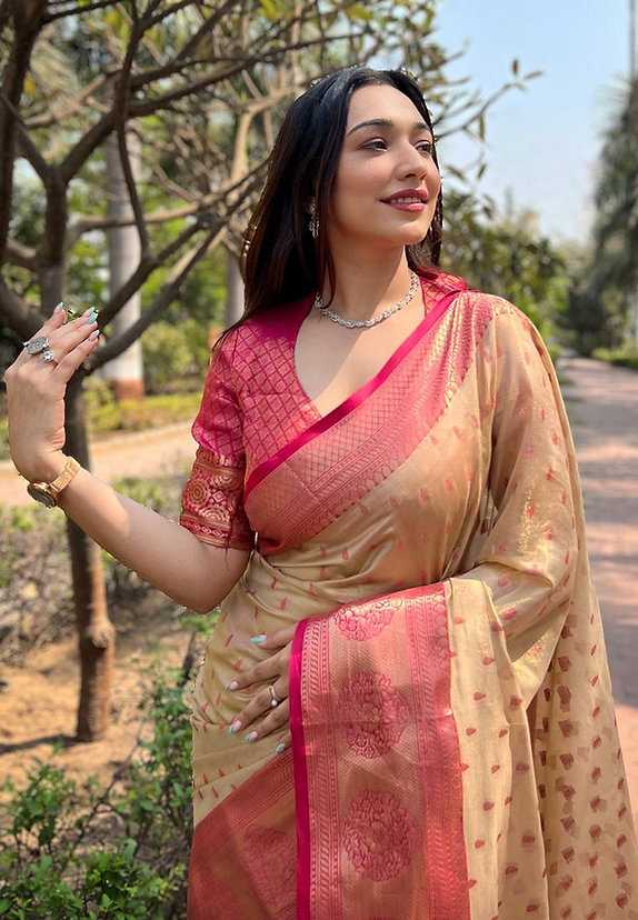 YNF Wholesale Banarasi Soft Silk Banarasi Silk Sarees RIN132 182 | Surat Manufacturer